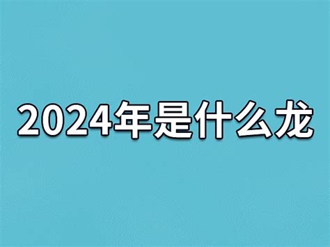 2024 是什么年